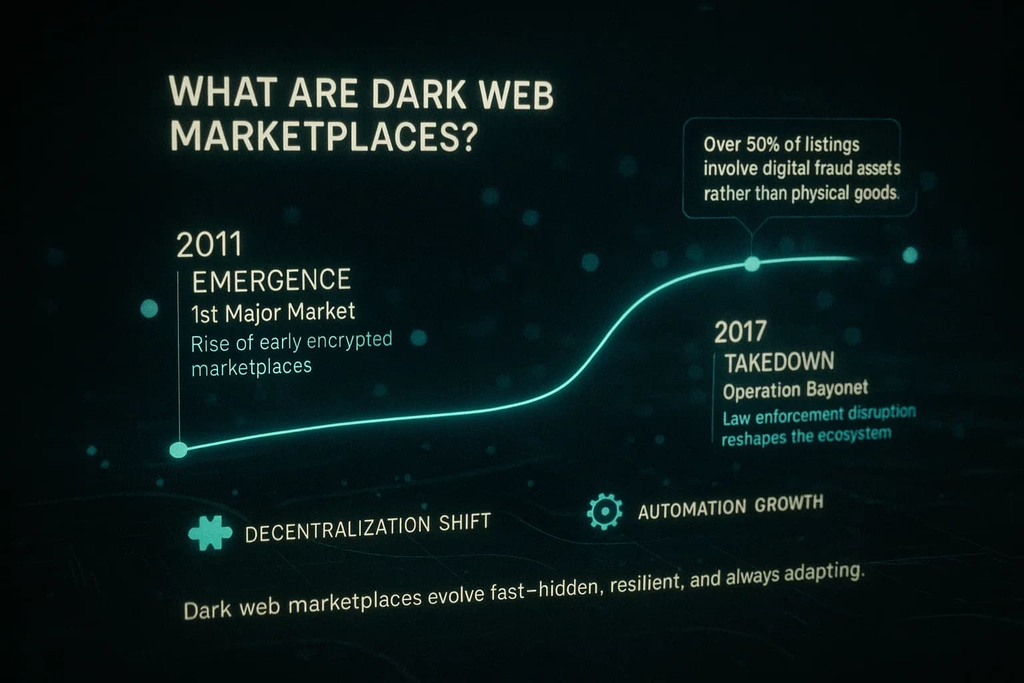 The Dark Web Marketplace Experience: Understanding Stash Patrick